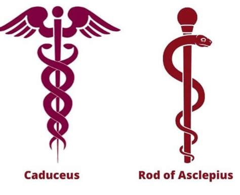 hermes caduceus meaning|why was caduceus so popular.